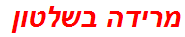 מרידה בשלטון