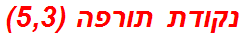 נקודת תורפה (5,3)