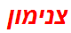 צנימון