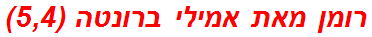 רומן מאת אמילי ברונטה (5,4)