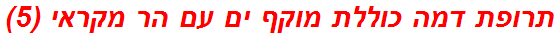 תרופת דמה כוללת מוקף ים עם הר מקראי (5)