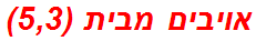 אויבים מבית (5,3)