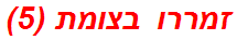 זמררו בצומת (5)