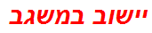 יישוב במשגב