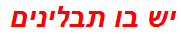 יש בו תבלינים