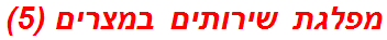 מפלגת שירותים במצרים (5)