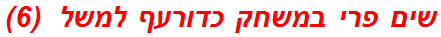 שים פרי במשחק כדורעף למשל  (6)