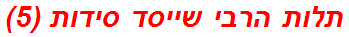 תלות הרבי שייסד סידות (5)