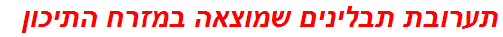 תערובת תבלינים שמוצאה במזרח התיכון