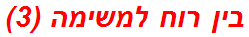 בין רוח למשימה (3)