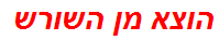 הוצא מן השורש