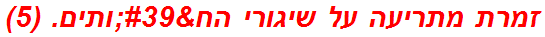 זמרת מתריעה על שיגורי הח'ותים. (5)