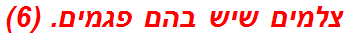 צלמים שיש בהם פגמים. (6)