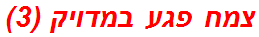 צמח פגע במדויק (3)