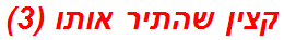 קצין שהתיר אותו (3)