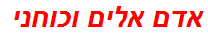 אדם אלים וכוחני