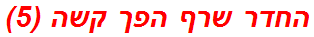 החדר שרף הפך קשה (5)