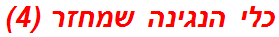 כלי הנגינה שמחזר (4)