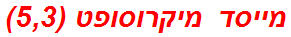 מייסד מיקרוסופט (5,3)