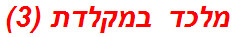 מלכד במקלדת (3)