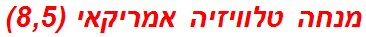 מנחה טלוויזיה אמריקאי (8,5)