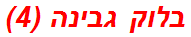 בלוק גבינה (4)
