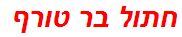 חתול בר טורף