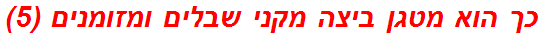 כך הוא מטגן ביצה מקני שבלים ומזומנים (5)