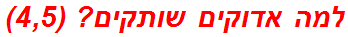 למה אדוקים שותקים? (4,5)