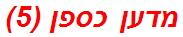 מדען כספן (5)