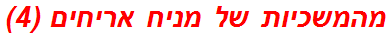 מהמשכיות של מניח אריחים (4)