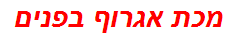 מכת אגרוף בפנים