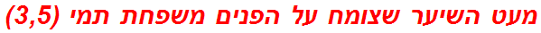 מעט השיער שצומח על הפנים משפחת תמי (3,5)