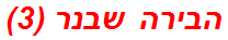 הבירה שבנר (3)