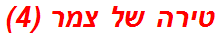 טירה של צמר (4)