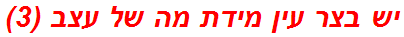 יש בצר עין מידת מה של עצב (3)