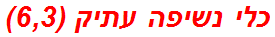 כלי נשיפה עתיק (6,3)