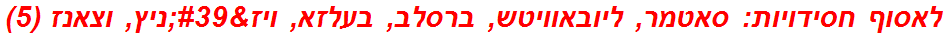 לאסוף חסידויות: סאטמר, ליובאוויטש, ברסלב, בעלזא, ויז'ניץ, וצאנז (5)