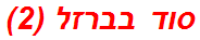סוד בברזל (2)