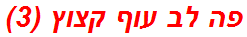 פה לב עוף קצוץ (3)