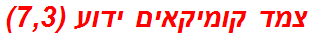 צמד קומיקאים ידוע (7,3)