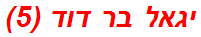 יגאל בר דוד (5)