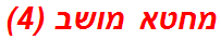 מחטא מושב (4)