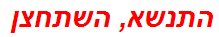 התנשא, השתחצן