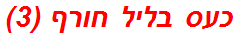 כעס בליל חורף (3)