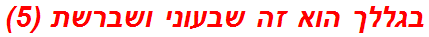 בגללך הוא זה שבעוני ושברשת (5)