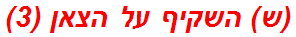 (ש) השקיף על הצאן (3)
