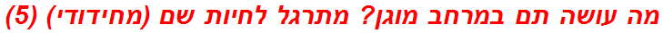 מה עושה תם במרחב מוגן? מתרגל לחיות שם (מחידודי) (5)