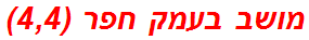 מושב בעמק חפר (4,4)