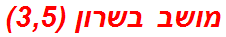 מושב בשרון (3,5)